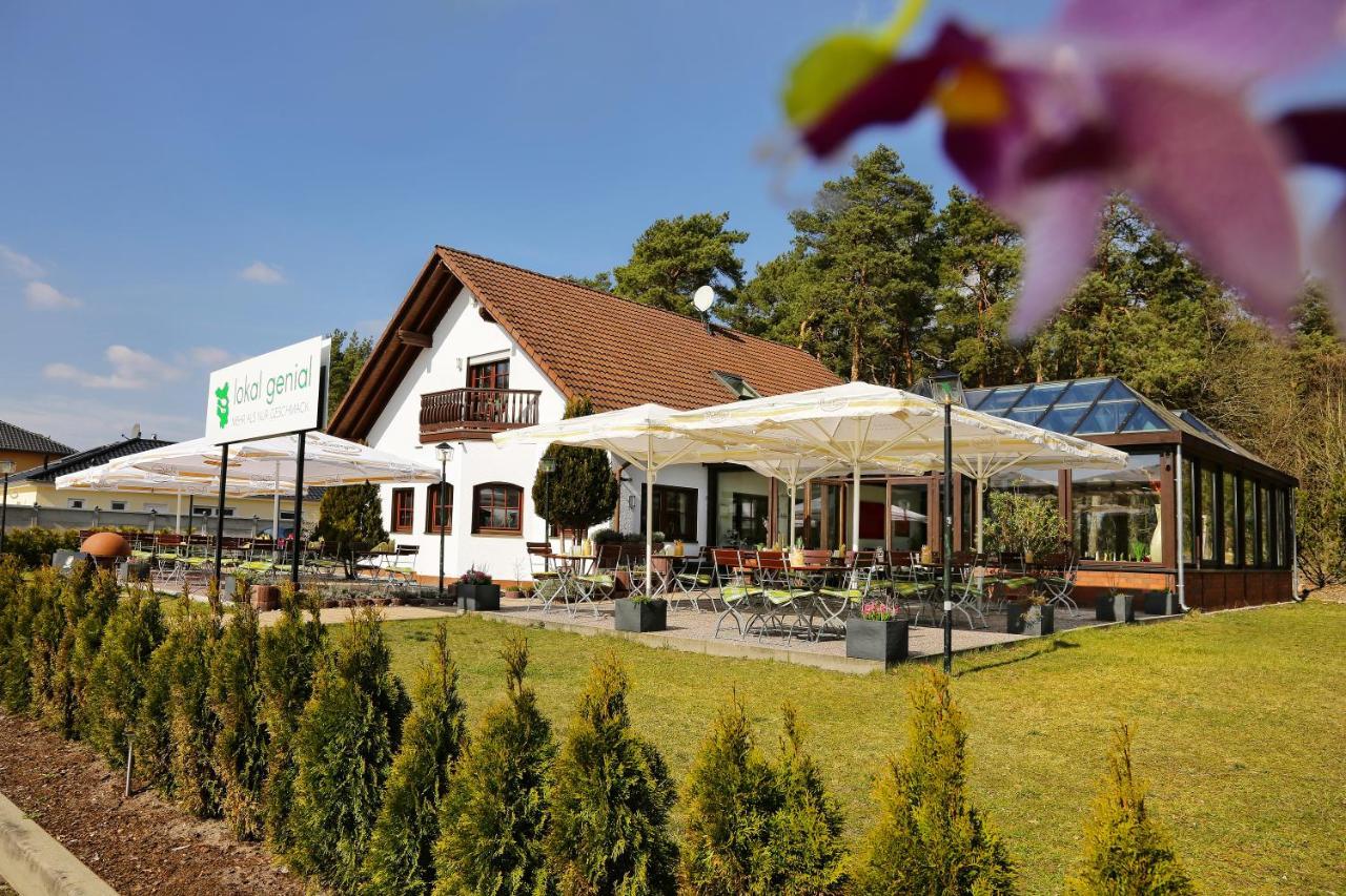 Lokal Genial Pension & Restaurant Beelitz Ngoại thất bức ảnh